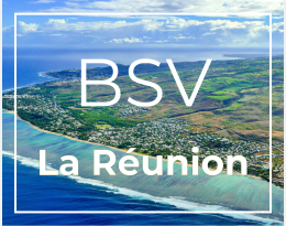 BSV La Réunion