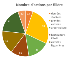 Graphique en camembert représentant le nombre de CEPP par filière