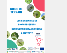 Guide des Auxiliaires et Bioagresseurs des cultures maraichères à Mayotte 2025