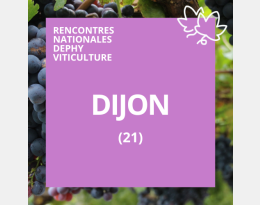 Vignette RNDV Dijon