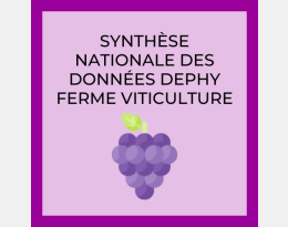 Synthèse DEPHY Viticulture