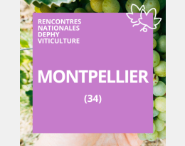 Vignette RNDV Montpellier