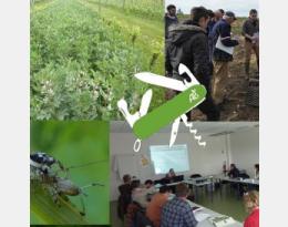 Livret Ecophyto (édition 2019) : Comment la viticulture biologique peut contribuer à une agriculture durable ?