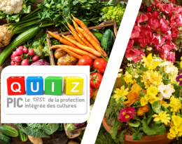 Quiz légumes/horti