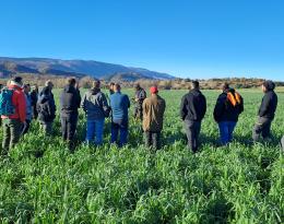 Formation du groupe DEPHY