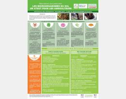 Poster Litière Biofermenté Martnique