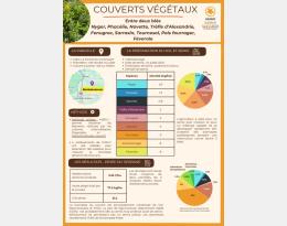 Essai d'un mélange diversifié entre 2 blés (3TMS aérienne)