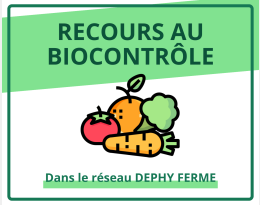 synthèse leg dephy 2016-2020