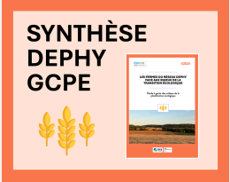 synthèse dephy GCPE