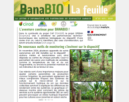 Newsletter - Octobre 2025