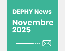 DN novembre 2025