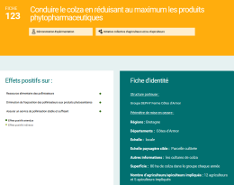 Conduire le colza en bas intrants