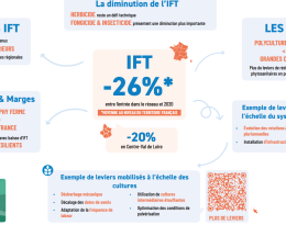 synthèse dephy ferme cvdl