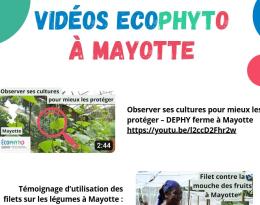 Photo du document
