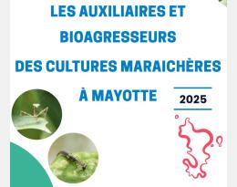 Guide des Auxiliaires et Bioagresseurs des cultures maraichères à Mayotte 2025