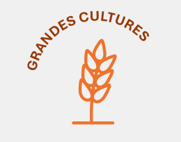 grandes cultures