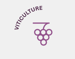 viti