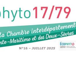 lettreEchoPhyto juillet 2025