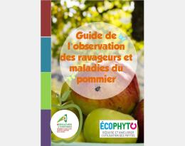 Guide de l'observateur 2021