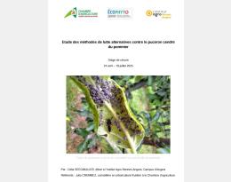 RAPPORT DE STAGE CELIA SEEGMULLER 2025