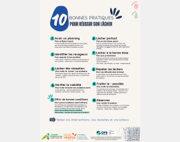 10 bonnes pratiques pour réussir son lâcher d'auxiliaires !