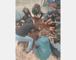 préparation biofertilisant