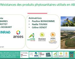 Première page du support visuel du webinaire