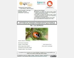 Rapport de stage de Lou LECROCQ sur les essais plantes de service et transferts actifs menés en 2024.