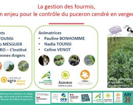 Première page du support visuel du diaporama