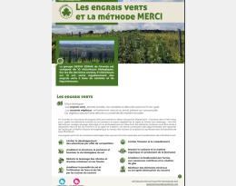 Les engrais verts et la méthode MERCI