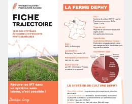 Réduire ses IFT sans labour, c'est possible !