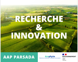 Logo PARSADA