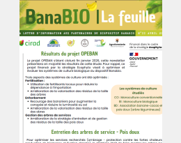Capture d'écran de la première page de la newsletter