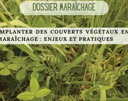 Implanter des couverts végétaux en maraîchage - enjeux et pratiques