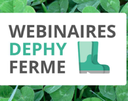 PPT webinaire DEPHY