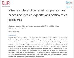 Protocole bandes fleuries