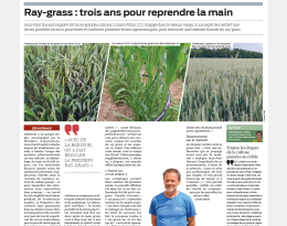 témoignage sur la gestion du ray grass dans la rotation