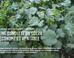 colza, une conduite économe et rentable