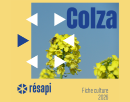 guide colza