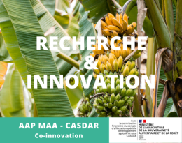 cASDAR Co-innovation