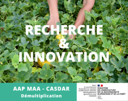 Projet APPRIVOISE
