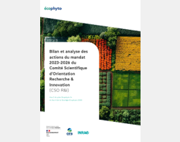 Bilan & analyse de mandat du CSO R&I 2023-2026