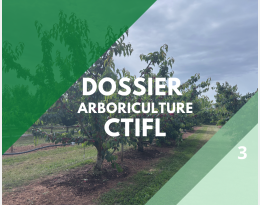 Dossier arboriculture CTIFL