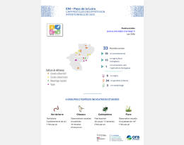 ENI_Synthèse pédagogique_PDL