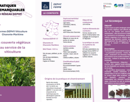 pratiqueRemarquableCouvertsVégétaux