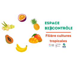 Espace biocontrôle : Cultures Tropicales