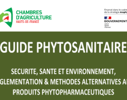 Guide phyto