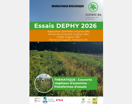 Essai couvert maraichage - Agribio84 2026