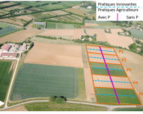 Parcellaire station d'expérimentation