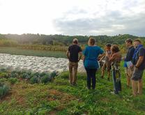 Visite d'une ferme Dephy Lotoise par l'OP Sud Ouest Bio